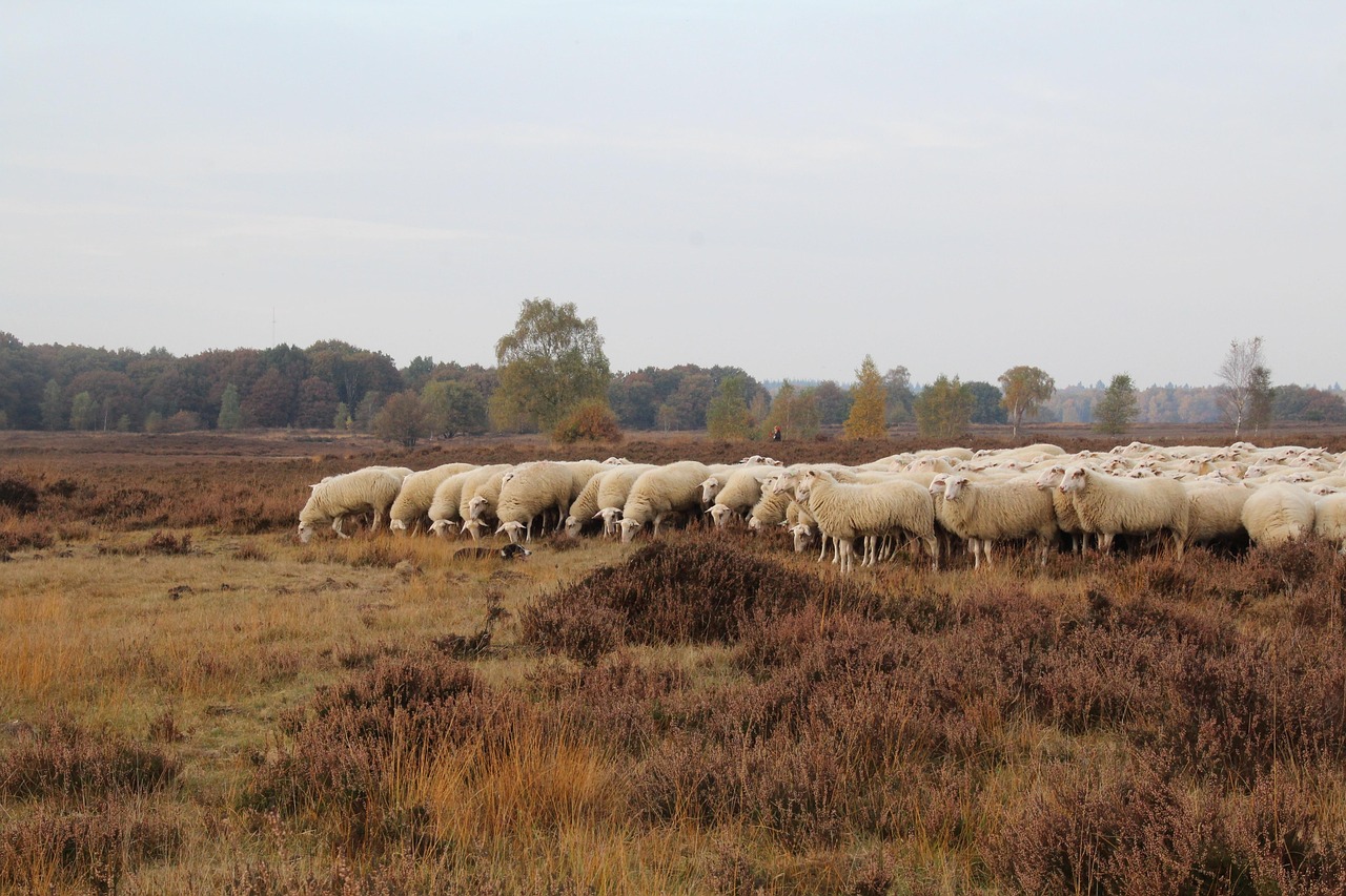 Weekend in de Veluwe: comfortabel overnachten bij Hotel de Beyaerd